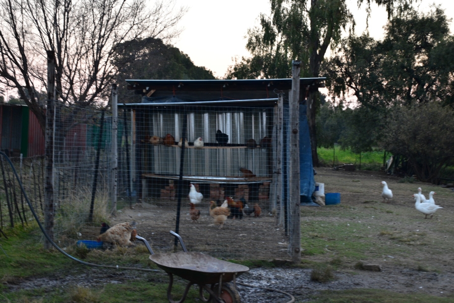 4 Bedroom Property for Sale in Rouxville Free State